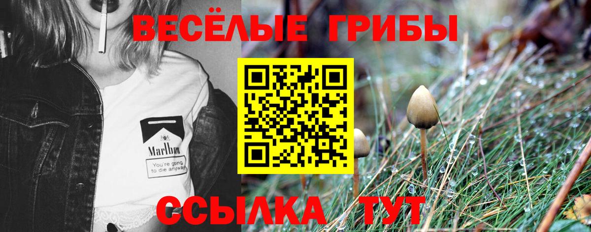 Псилоцибиновые грибы MAGIC MUSHROOMS  Вход с VPN  Галлюциногенные грибы Psilocybe  Гагарин 